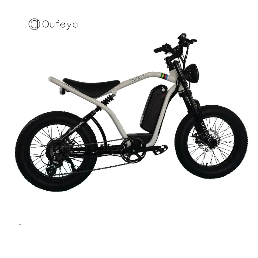 Vente directe d'usine de vélo électrique fabricant e-bike 1000w vélo électrique fat bike snow fat bike