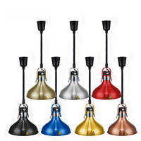 Lampe chauffante pour buffet commercial Gehong ABC-003 pour hôtel et restaurant, 250W, abat-jour infrarouge, contrôle automatique de la température