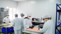 Vente en gros de guimauves lactées aromatisées aux fruits du Vietnam, nougat sucré, paquet de 1 kilogramme, bonbons frais et moelleux, durée de conservation de 45 jours