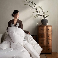 Nouvelle Couette Hiver 2026 en 50% Duvet de Canard Blanc, Doublure en Satin Doux, Anti-Fuite, Garnissage Épais pour Temps Froid