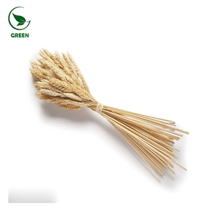 תוספת צמח לחלבון חיטה - Product Image 4