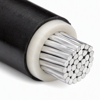 Flammhemmendes Klasse-C Aluminiumleiter XLPE-isoliertes PVC-ummanteltes Stromkabel 0,6/1kV (ZC-YJLV)
