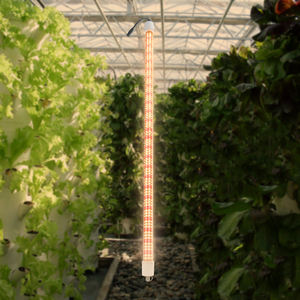 Tube lumineux LED à spectre intégré Meijiu Lighting, LED Samsung, 3,0 µmol/<span class=keywords><strong>J</strong></span>, pour la culture <span class=keywords><strong>en</strong></span> intérieur, <span class=keywords><strong>fruits</strong></span>, <span class=keywords><strong>légumes</strong></span> - Product Image 6