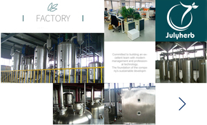 Julyherb Chất lượng cao Tím Daisy chiết xuất <span class=keywords><strong>Echinacea</strong></span> Purpurea chiết xuất <span class=keywords><strong>4</strong></span>% <span class=keywords><strong>polyphenol</strong></span> - Product Image 5