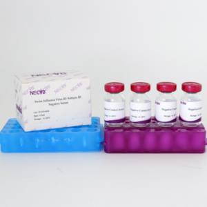 Sérum négatif de la grippe porcine H3 | Essai d'inhibition de l'hémagglutination | Qualité IVD - Product Image 4