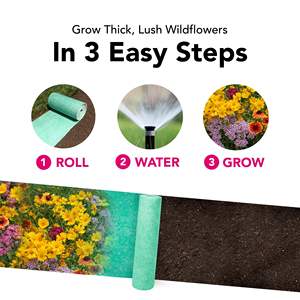 Growtrax Pollinator 40 pieds carrés Fournitures <span class=keywords><strong>de</strong></span> jardin Mélange <span class=keywords><strong>de</strong></span> fleurs sauvages modernes Tournesol <span class=keywords><strong>Zinnia</strong></span> Plante facile pour attirer les abeilles - Product Image 6