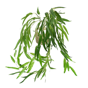 Fabricant de feuilles artificielles en pot, <span class=keywords><strong>plantes</strong></span> artificielles d'extérieur, clôtures personnalisées, treillis, portails, feuilles artificielles en gros - Product Image 1