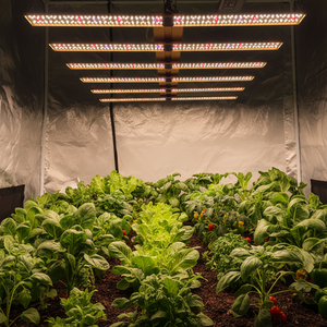 Lampe de culture LED 510W 4 canaux <span class=keywords><strong>Samsung</strong></span> 6 barres 2,7μmol/<span class=keywords><strong>J</strong></span> 4*4FT pour projet de serre, grossiste UE/US, personnalisable - Product Image 3