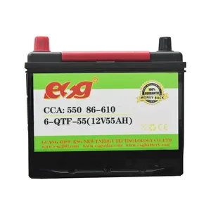 Esg 24V 12V 33Ah 55Ah 60Ah 48V 13V 45Ah 100Ah Car Plate 10Ah 48V 12ah Lead Acid Car Battery