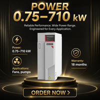 Variateur de fréquence WOLONG triphasé 380V-480V 0,75kW~22kW VFD avec contrôle vectoriel IP20 pour moteurs AC