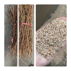 Déchiqueteuse d'herbe/maranta Arundinacea/<span class=keywords><strong>casava</strong></span>/casawa électrique et diesel - Product Image 3