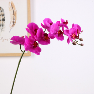 9 cabezas barato decoración Real Touch venta al por mayor de látex Artificial orquídeas flor - Product Image 2