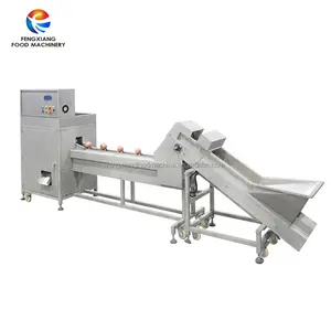SUS304 semi-automatic onion top and tail cutting machine onion root cutter removing machine for vegetable processing plant
