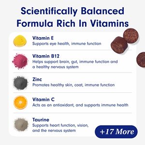 Masticables Multivitamínicos para Perros 22 en 1 OEM/ODM - Suplemento para Mascotas con Vitaminas A, E, <span class=keywords><strong>B12</strong></span> y Antioxidantes para la Salud Inmunológica, de la Piel y las Articulaciones - Product Image 2