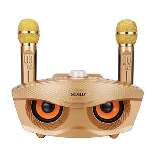 20W Bass Sound Family KTV SD306 2-en-1 Karaoke portátil <span class=keywords><strong>BT</strong></span> Altavoz inalámbrico con doble micrófono de mano Altavoz de búho - Product Image 1