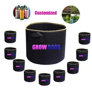 Eco Tuin 3 Gallon Stof Pot Kwekerij Planten Tas 3 Gallon Niet-geweven Bloem Grow Bag Vilt Groeiende Container planter Grow Bag
