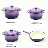 Ensemble de 5 casseroles en fonte antiadhésives, compatibles avec les cuisinières à induction et à gaz, pour la cuisine à domicile