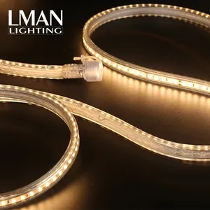 Hot Selling Male Female Connection Ip65 Waterproof Smd 2835 120leds Led Strip Light