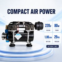 Kit complet de système d'aération pour bassin 220V 130W avec compresseur d'air sans huile, tuyau lesté et diffuseur EPDM