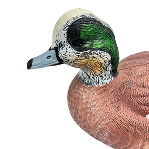 Richiamo per Anatre Wigeon in HDPE ad Alta Densità, Realistico e Galleggiante, per la Stagione di Caccia, Realizzato in Plastica Resistente - Product Image 3