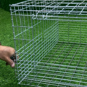 Sağlam ve dayanıklı Broiler tavuk kafesi 3 Tier 2 kapılar Set başına 60 kuş kapasitesi 1.5*0.9*1.55m yüksek H tipi Broiler pil kafesi - Product Image 4