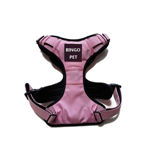 Áo phao cho chó Bully bằng chất liệu Neoprene mềm cao cấp - Product Image 6