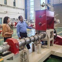 Granulateur extrudeur de ligne d'alimentation flottante pour petits animaux et poissons, capacité 100-300 kg/h, prix compétitif, fournisseur de machines de fabrication d'aliments pour poissons