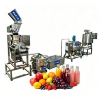 RVS Fruitpulp- en sapproductielijn, fruitverwerkings- en raffinadesysteem