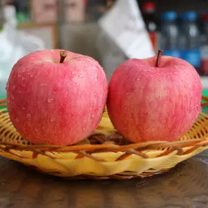 Çin'in yeni ürün üst sınıf taze kırmızı Fuji elması meyve tüm yıl boyunca tedarik