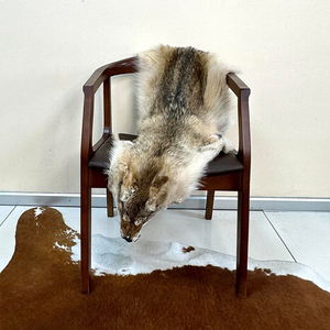 Fourrure de <span class=keywords><strong>coyote</strong></span> véritable, couleur naturelle, 100 % haute qualité, pour usage vestimentaire, peaux, fourrages, pelages - Product Image 3