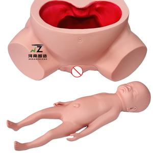 แบบจำลองการฝึกอบรมภาวะคลอดยากทางวิทยาศาสตร์การแพทย์ แบบจำลองการฝึกอบรมการช่วยคลอด แบบจำลองการฝึกอบรมการช่วยคลอด - Product Image 1