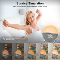 Réveil lumineux personnalisable avec lever de soleil, 7 sonneries, 9 lumières d'ambiance, fonction snooze et minuterie, idéal pour un cadeau personnalisé, chambre à coucher, commande en gros