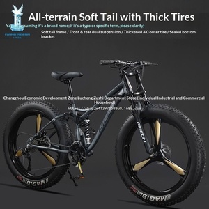 Bicicleta de Montaña para Adultos, para Cross-Country, Playa y Nieve, con Ruedas de 24/26 Pulgadas, Multivelocidad, Cuadro con Suspensión Delantera/Trasera - Product Image 2