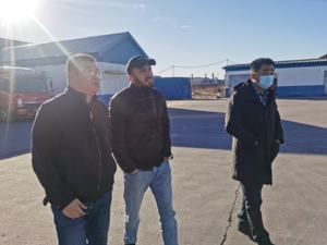 Multivitamin mineraller güvercin besleme sağlık yarış güvercin vitaminleri ve takviyeleri - Product Image 6