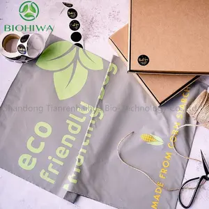 Eco-Friendly Biodegradable Small Business Supplies Custom Your Logo Thank You Pink Courier Compostable Mailer Bags
