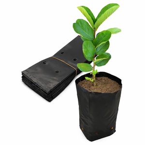 Bolsas de Cultivo de Plástico Negras con Orificios Transpirables para Plantar Plántulas de Flores, Bolsas de Jardín de Polietileno para Exteriores al por Mayor - Product Image 3