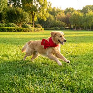 وشاح قطني كلاسيكي محبوك بتصميم بسيط، قلادة للحيوانات الأليفة للشتاء والخريف والربيع، وشاح للكلاب - Product Image 4