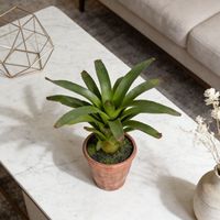Plante artificielle en pot d'ananas tropical de 54 cm, décoration de table pour la maison, le bureau, l'hôtel, plantes artificielles, faux ananas dans un pot rouge