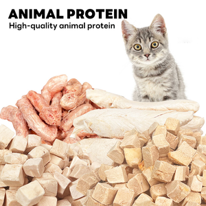 ओम ओडम 200 जी को फ्रीज-सूखे ताजा मांस और फल पालतू जानवर दोनों के लिए 12 स्वादों का इलाज करता है - Product Image 5