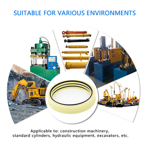 Kits de Reparación de Motores para Cargadoras <span class=keywords><strong>Kubota</strong></span>, Kits de Reconstrucción de Sellos de Cilindros Hidráulicos, Componentes de Sellado de Precisión de Alto Rendimiento - Product Image 6