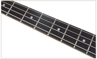 JB-02 for China Factory Price 4 String Maple Neck Sycamore Body Electric Bass Guitar for J Style Guitar Bass
