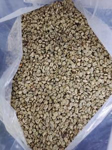Factory Supply Yunnan Green <strong>Arabica</strong> <strong>Coffee</strong> Yunnan Small Grain <strong>Coffee</strong> Rubiaceae Coffea <strong>Arabica</strong> Washed <strong>Coffee</strong> Beans - Product Image 5