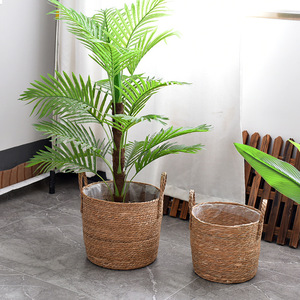 Thiên Nhiên Cỏ Dệt Chậu Hoa Mía Dệt Giỏ Trồng Đa Chức Năng Giặt Làm Bằng Tay Trong Nhà Rơm Nhà Máy Nồi Cho Trang Trí - Product Image 3