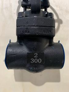 2 "x ANSI 300 # Van cổng vít loại nữ chủ đề DN50 A105 thép carbon Van cổng - Product Image 5