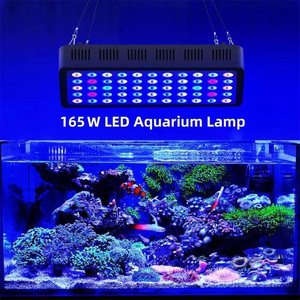 2025 Trending 165W regulable espectro completo acuario <span class=keywords><strong>luz</strong></span> LED <span class=keywords><strong>pecera</strong></span> LED arrecife Decoración <span class=keywords><strong>Luz</strong></span> <span class=keywords><strong>para</strong></span> agua salada agua dulce - Product Image 6
