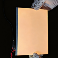 Modul Lampu Latar LED Putih Super Terang Universal untuk Monitor TV LCD/LED |   Pelat Pandu Cahaya RGB Kustom 9V/24V Kecerahan Tinggi