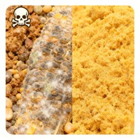 Bio-fermenteur complet pour aliments : Levures et souches d'Aspergillus synergiques pour une détoxification rapide et la préparation d'ensilage