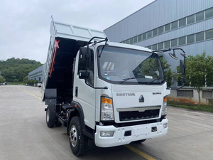 Yeni Sinotruck Howo 4x2 4x4 4 Ton 5 Ton 10 Ton Sağdan Direksiyonlu Dizel Motorlu Hafif Hizmet Tipi Damperli Kamyon - Product Image 6