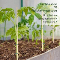 Bâton de bambou jetable de différentes tailles, bâton de Support pour plantes de jardin pour plantes grimpantes, vente en gros