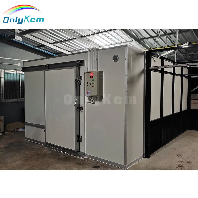 Đi Bộ Trong Tủ Đông Máy Làm Lạnh Phòng Lạnh Phòng Modular Lạnh Lưu Trữ Phòng Giá